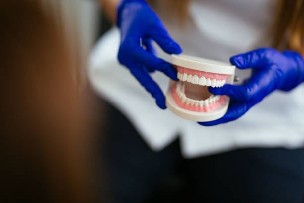 Best Dental Exams and Cleanings  in Winchester, OH